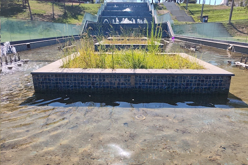 Büyük zahmetle temizleniyor bir günde eski haline dönüyor