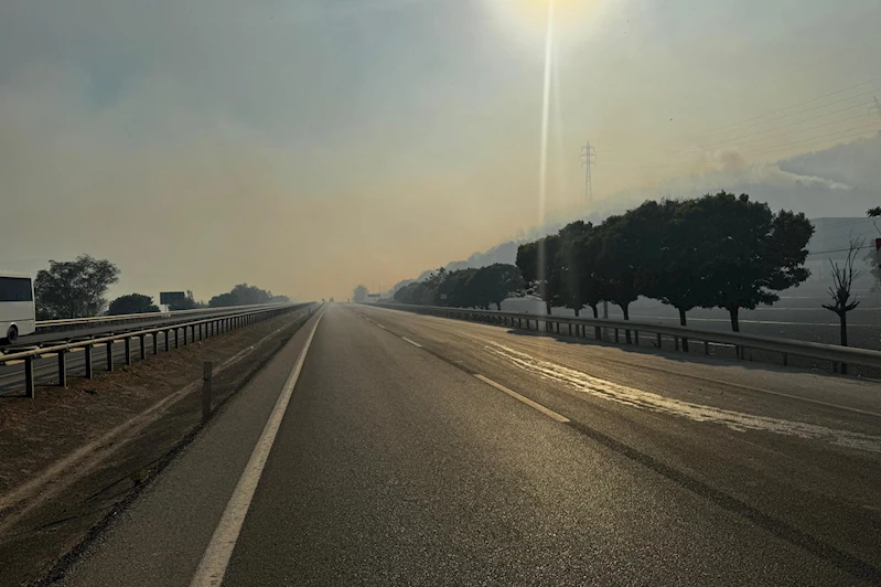 Bursa-Yenişehir kara yolu, orman yangını sebebiyle ulaşıma kapatıldı