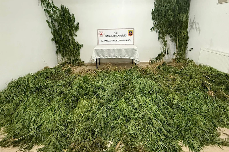 Şanlıurfa’da uyuşturucu operasyonu: 3 gözaltı