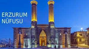 Erzurum’un göç meselesi için “tersine göç” reçetesi: İstihdam ve girişim fonu önerisi