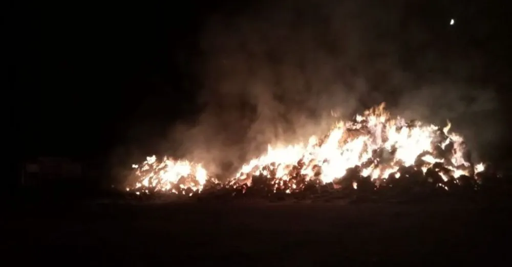 Pasinler’de örtü yangını: 3 kişi dumandan etkilendi