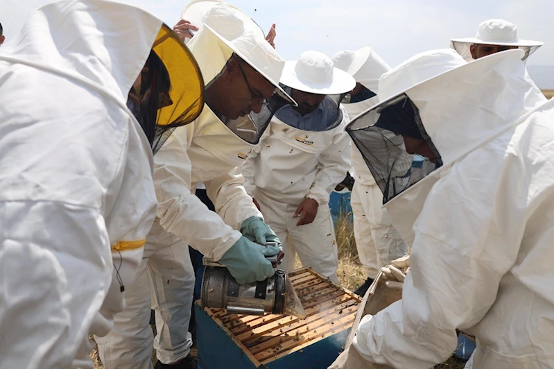 Coğrafi işaretli Geven Balı hasadı gerçekleştirildi