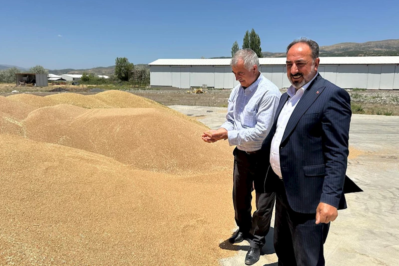 Bingöl’de 2 bin 750 ton buğday hasat edildi