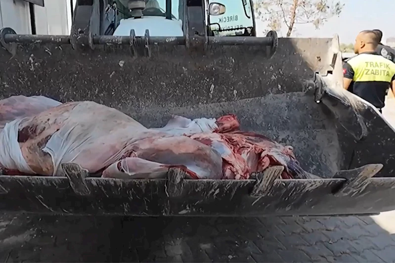 Şanlıurfa’da mühürsüz etler imha edildi