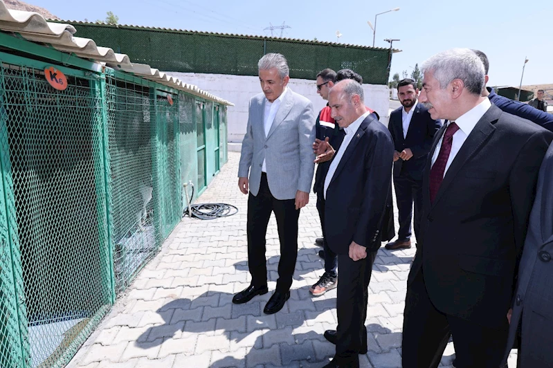 İçişleri Bakan Yardımcısı Aktaş Mardin’de incelemelerde bulundu 