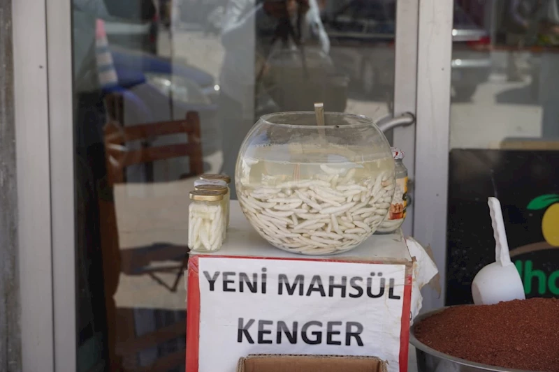 Doğal şifa kaynağı: Kenger sakızı yoğun ilgi görüyor  - Videolu Haber