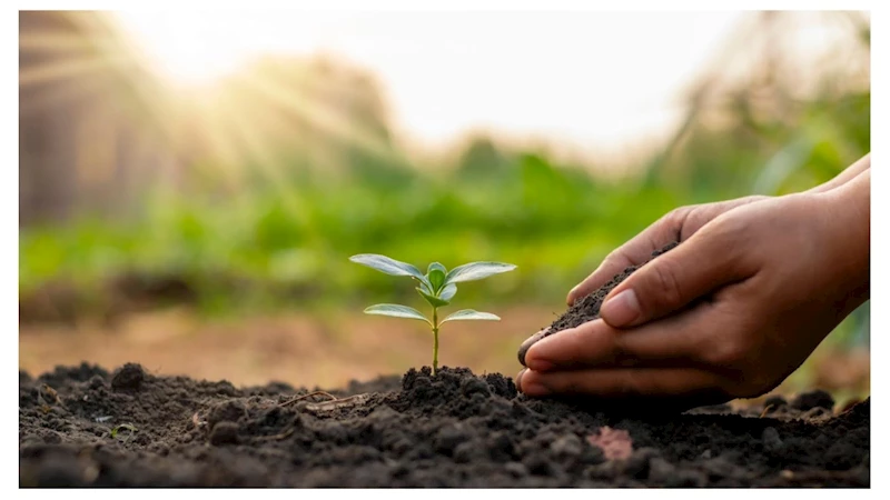 Bakanlık duyurdu: ‘Çiftçi Kayıt Sistemi Yönetmeliği