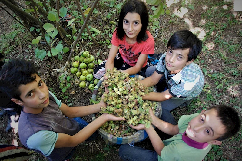 Türkiye, 8 ayda fındık ihracatından 1,4 milyar dolar kazandı