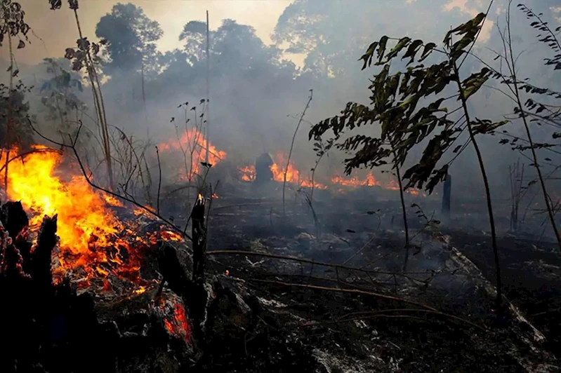 İzmir’de orman yangını: Kontrol altına alındı