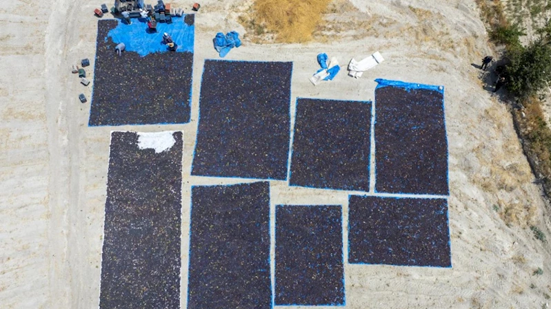 Büyükşehir’den Coğrafi İşaret Tesciliyle Üreticiye Destek