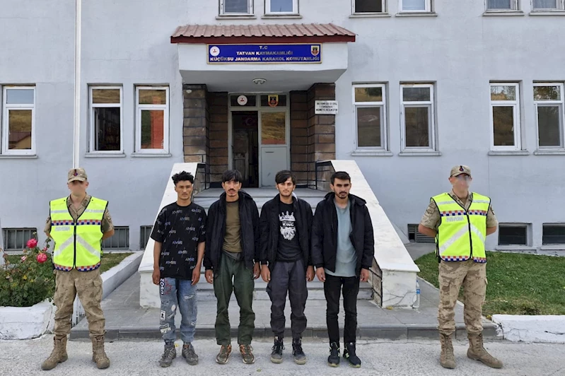 Bitlis’te 4 düzensiz göçmen yakalandı