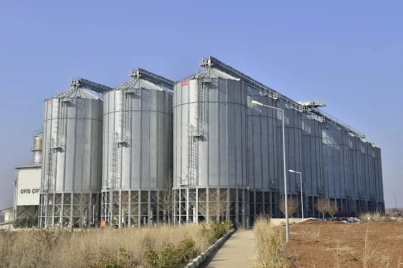 TMO, 3,5 milyar liralık ürün bedelini üreticilerin hesaplarına yatırdı