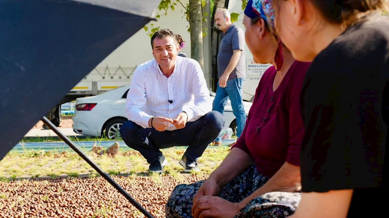 Fuat Köse sahilde fındık kurutan üreticileri ziyaret etti