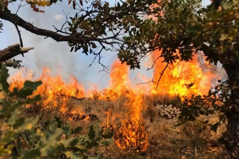 Denizli’de orman yangını