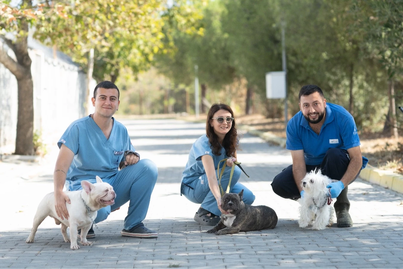 İzmir’de el konulan 20 cins köpek sahiplendirilecek