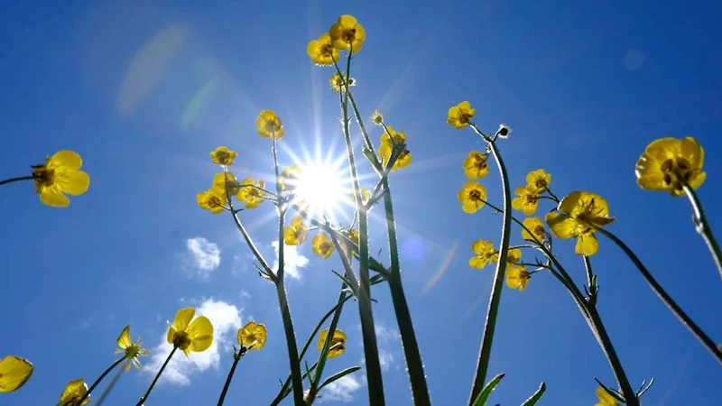 Hafta sonu hava durumu: Sıcak ve çoğunlukla yağışsız