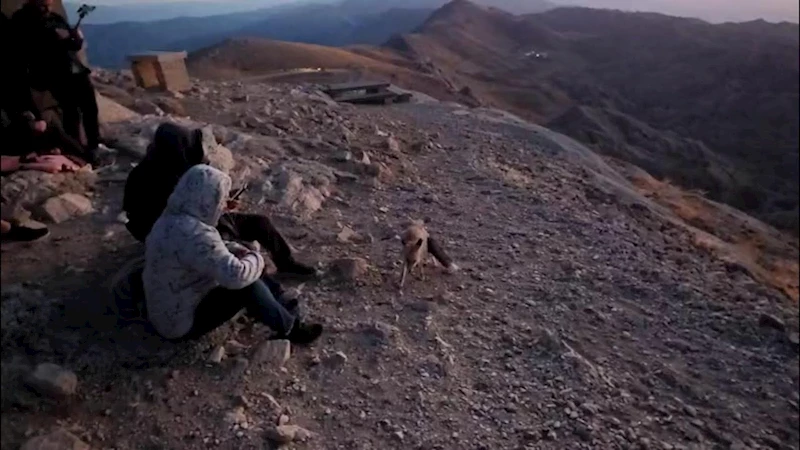 Nemrut Dağı’nın gözdesi ‘Tilki Hakan’, güneşin doğuşuna renk kattı  - Videolu Haber