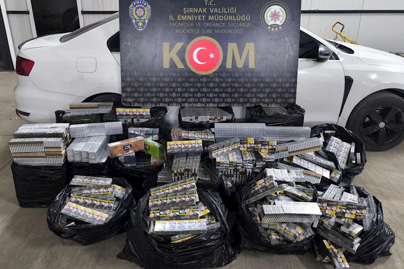 Şırnak’ta narkotik, asayiş ve kaçakçılık operasyonları: 31 gözaltı