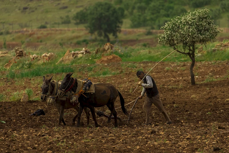 Batmanlı çiftçi girdi maliyetlerinden endişeli