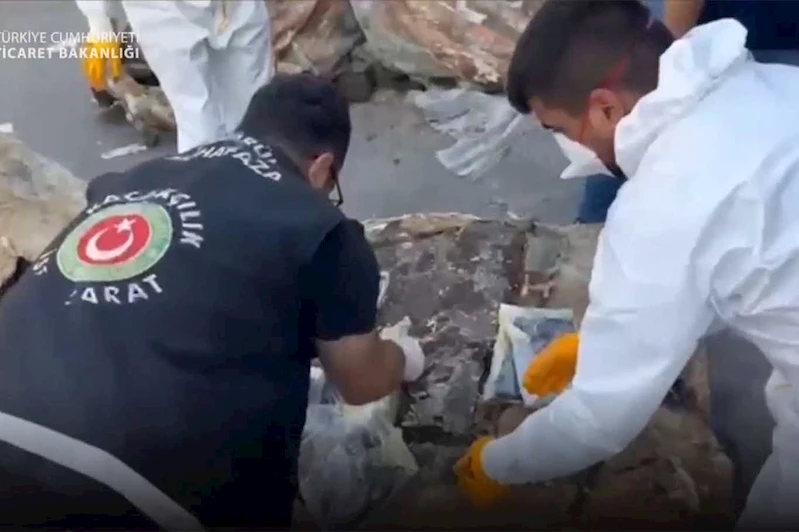 Sarp Gümrük Kapısı ve İstanbul