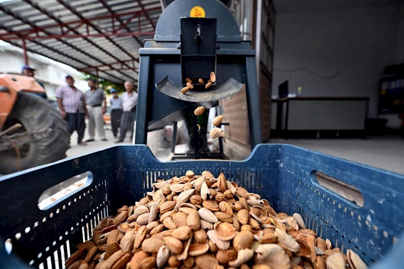 Mersin Büyükşehir, Üreticiyi Desteklemeye Devam Ediyor