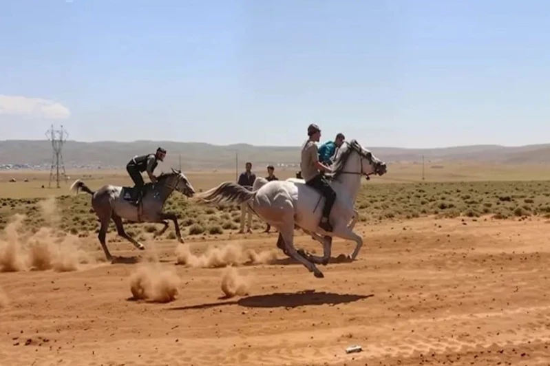 Bingöl’ün Karlıova ilçesinde at yarışları için geri sayım başladı