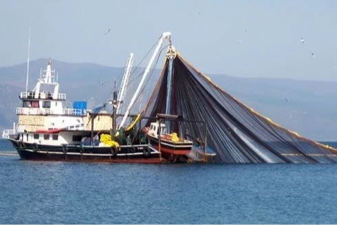 Balıkçılara dev destek! Balıkçılık gemi sayısı yüzde 65 arttı