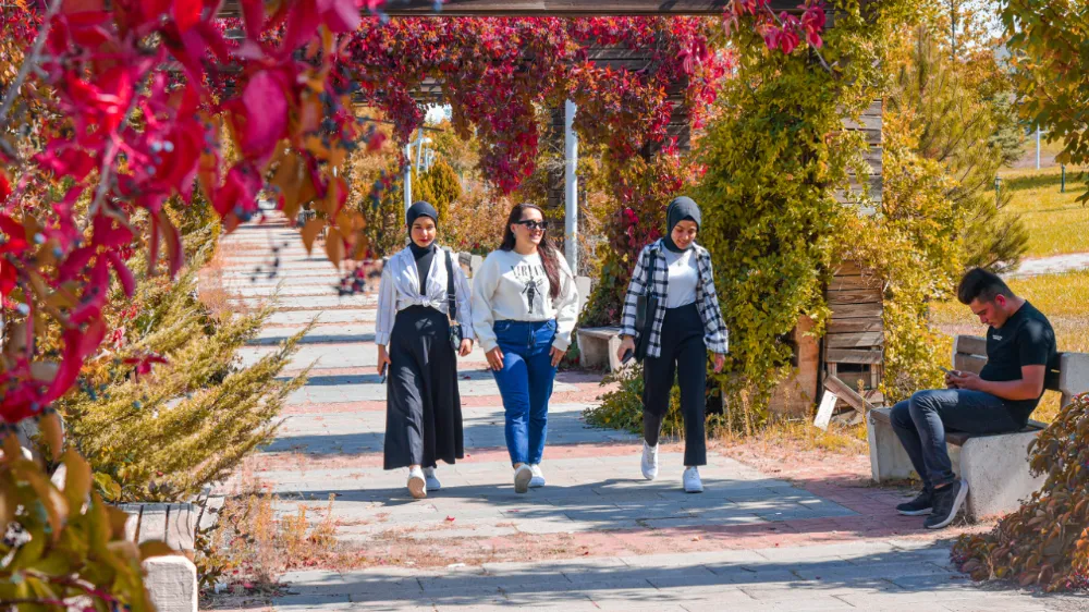 Türkiye’de Üniversite Kayıtları Rekor Kırdı