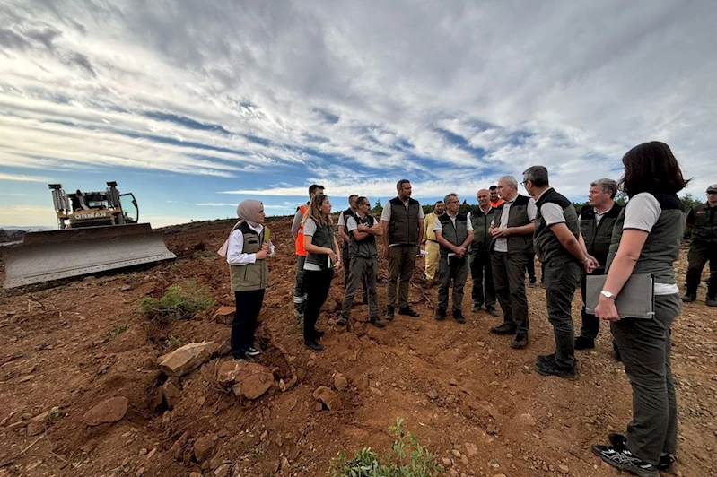 OGM Genel Müdürü Karacabey, Bursa’daki yangın sahalarını inceledi