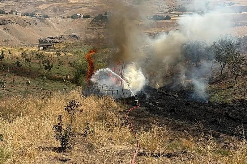 Havalimanı yakınlarında trafo yangını: Alevler fıstık ağaçlarına sıçradı