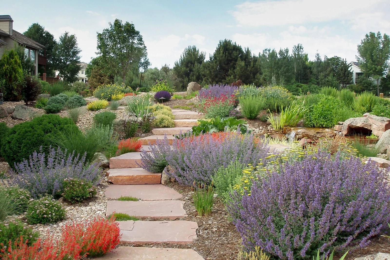 PEYZAJDER: Kuraklık peyzaj anlayışını değiştiriyor