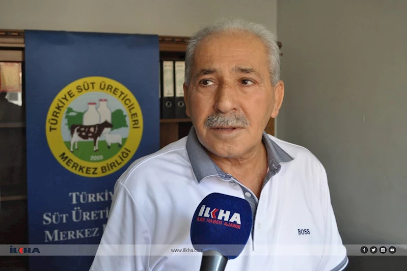 Buzağı ve çiğ süt destekleme ödemeleri için tarihler açıklandı