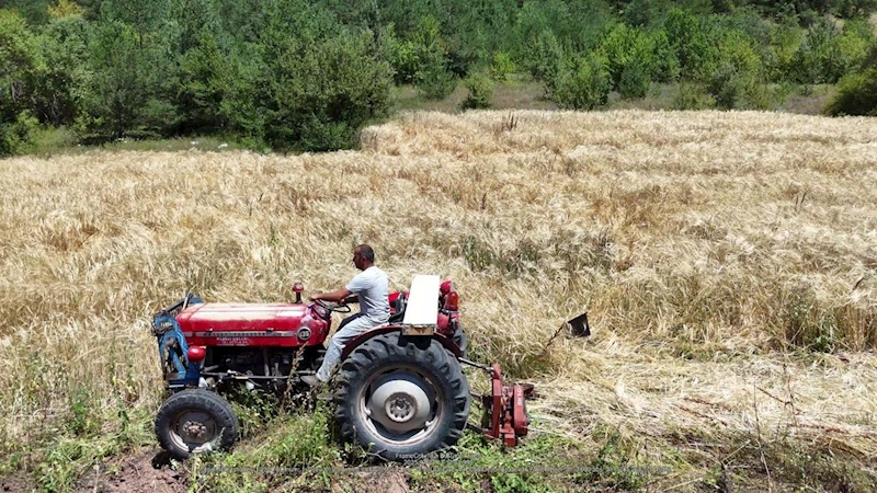 İstanbul’dan Ordu’ya uzanan çiftçilik öyküsü başarıya dönüştü