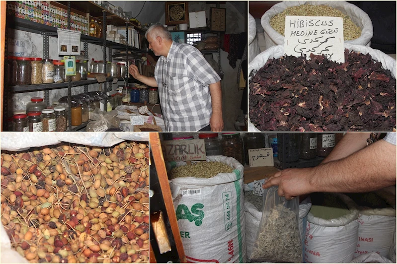 Aktar Yağmurcu: Mevsim geçişlerinde bağışıklığı güçlendirmek için şifalı bitkiler kullanılmalı