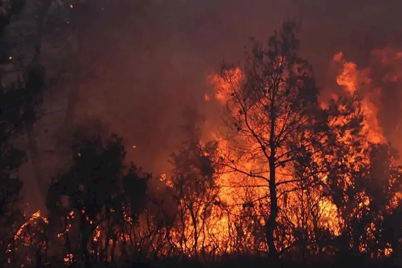 Muğla’da 2 ilçede çıkan orman yangınlarına müdahale ediliyor