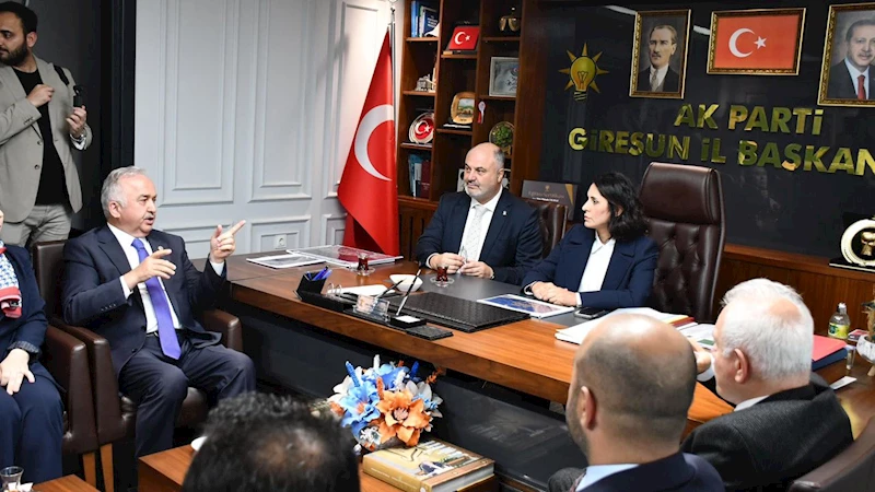 Giresun Organize Sanayi bölgesine yeni destek