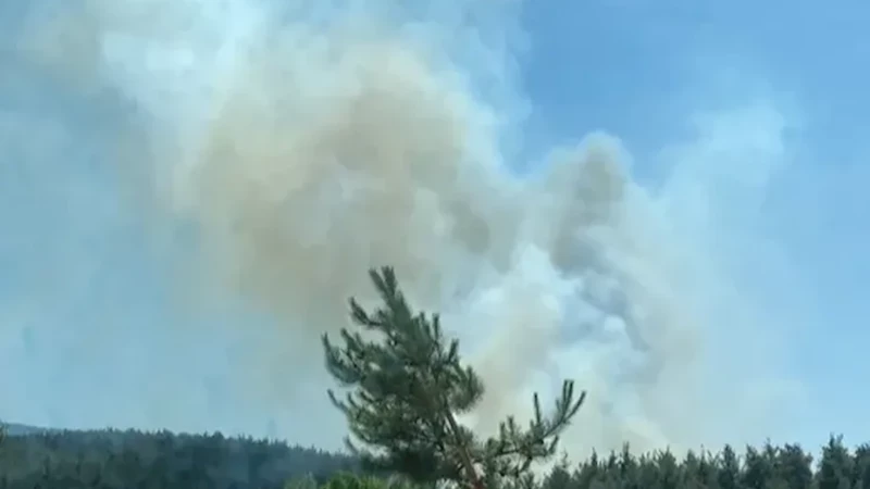 Antalya ve Muğla’da orman yangınlarına müdahale sürüyor