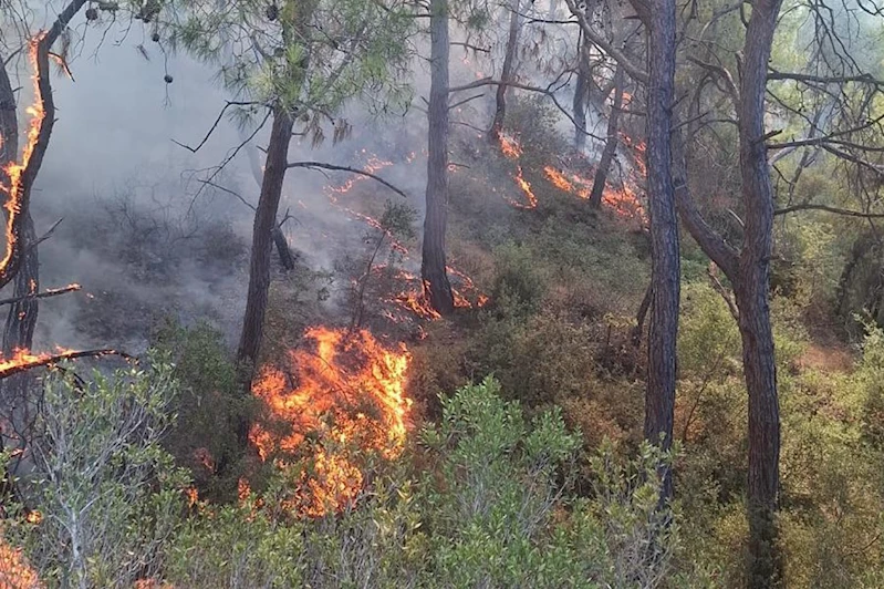 Adana Sarıçam’da orman yangını