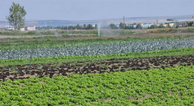 Erzurum Tarımsal Kredide Zirveye Yerleşti