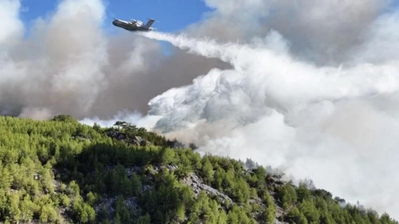 Köyceğiz’deki orman yangını ikinci gününde: 582 kişi tahliye edildi