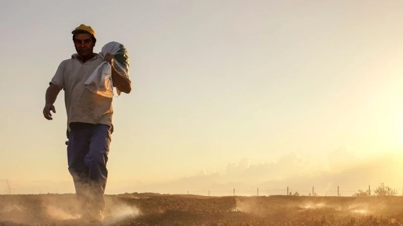 Üreticilere, 46,5 milyar liralık ödeme yapılacak  