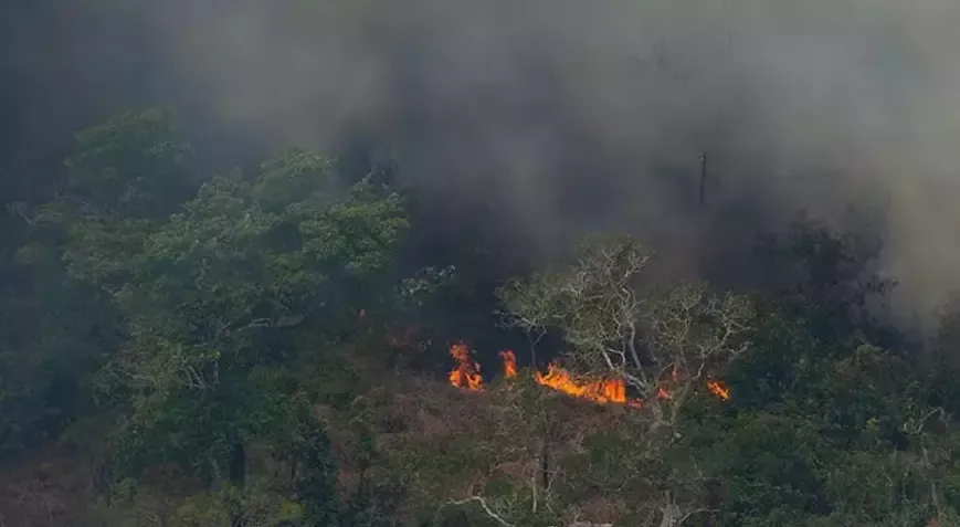 Brezilya Amazon Ormanlarında Yangın Alarmı