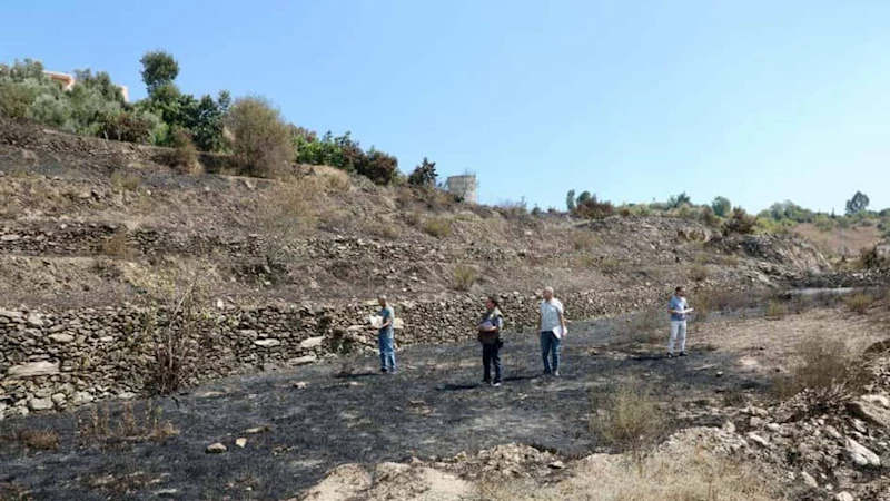 Alanya’daki yangınlar söndürüldü, hasar tespit çalışmaları başladı