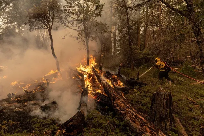 Kanada’da Orman Yangınları Yerleşim Yerlerini Tehdit Ediyor