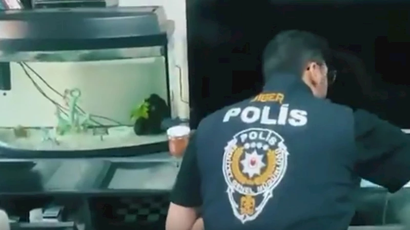 Siber suçlarla mücadele: 5 günde 55 kişi tutuklandı  - Videolu Haber