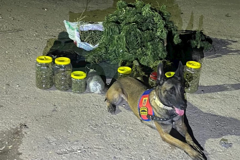 Şanlıurfa’da uyuşturucu operasyonu: 1 gözaltı