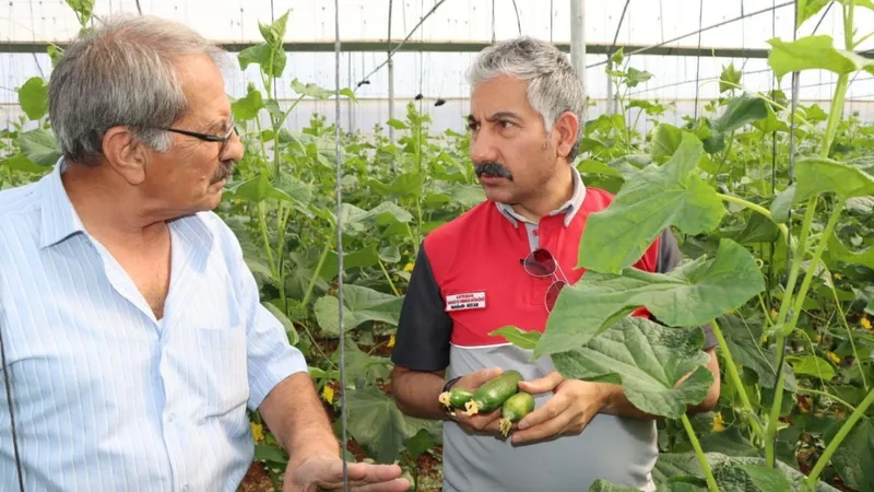 Adıyaman’da Sera-GES ile üretim devam ediyor  - Videolu Haber