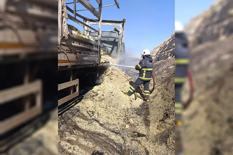 Şanlıurfa-Birecik otobanında araç yangını korkuttu