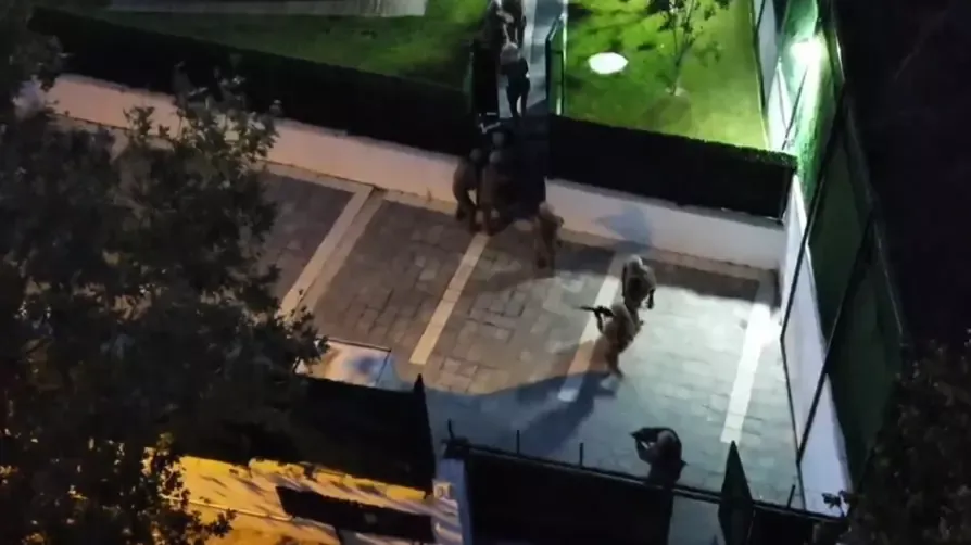 Türk vatandaşlığı için muvazaalı satış çetesi çökertildi: 106 gözaltı