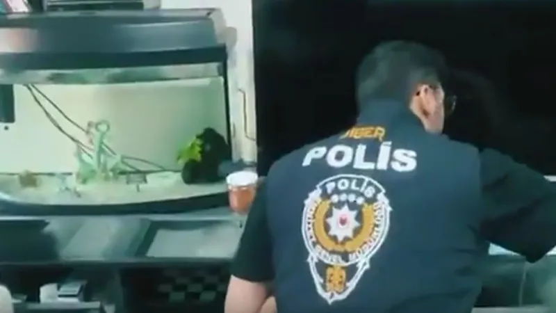 Muvazaalı gayrimenkul satışı yapan organize suç örgütü çökertildi  - Videolu Haber